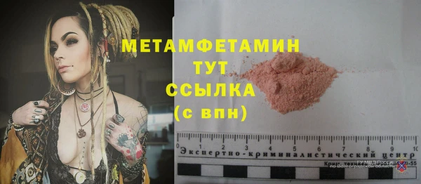 индика Новозыбков
