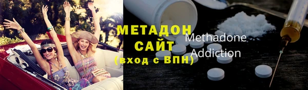 индика Новозыбков