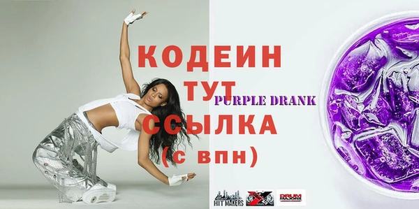 индика Новозыбков