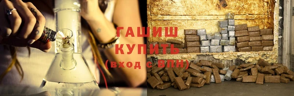 индика Новозыбков