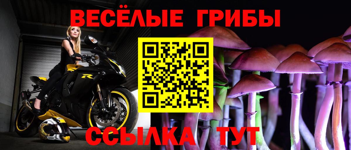 Псилоцибиновые грибы ЛСД  Вход с VPN  Владикавказ 