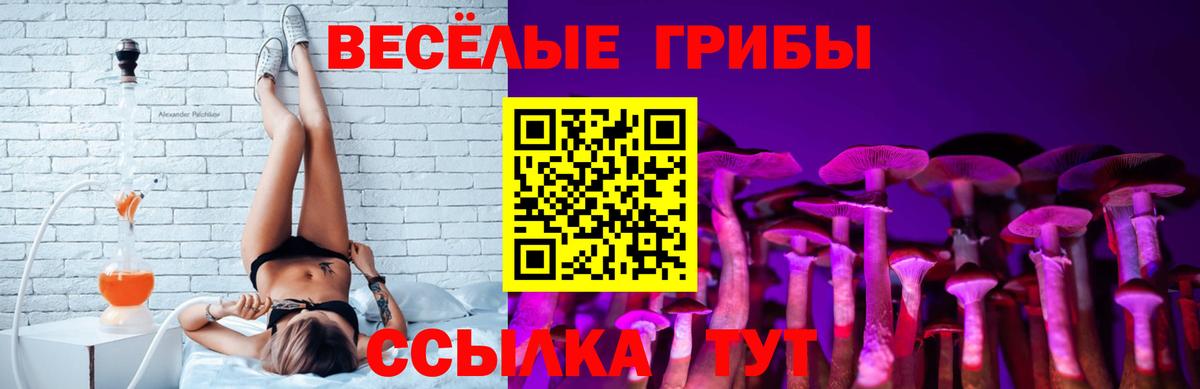 Галлюциногенные грибы Magic Shrooms Владикавказ